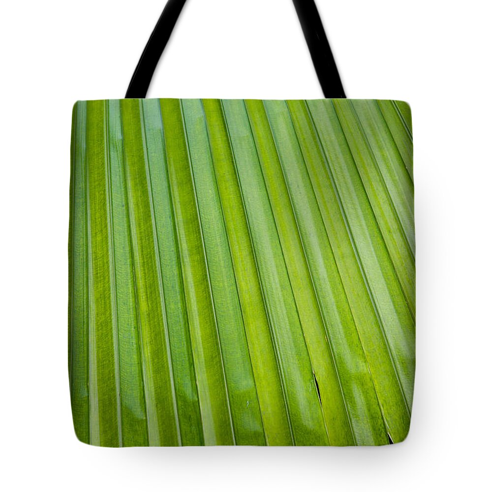 Texture Tote Bag featuring the photograph Texture 330 by Michael Fryd