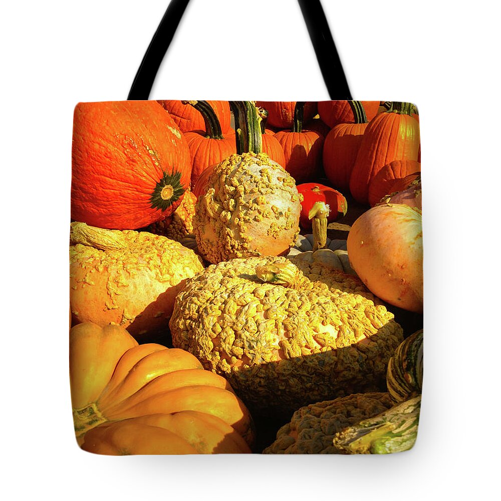 Pumpkin Tote Bag featuring the photograph Textures of Fall by Rod Seel