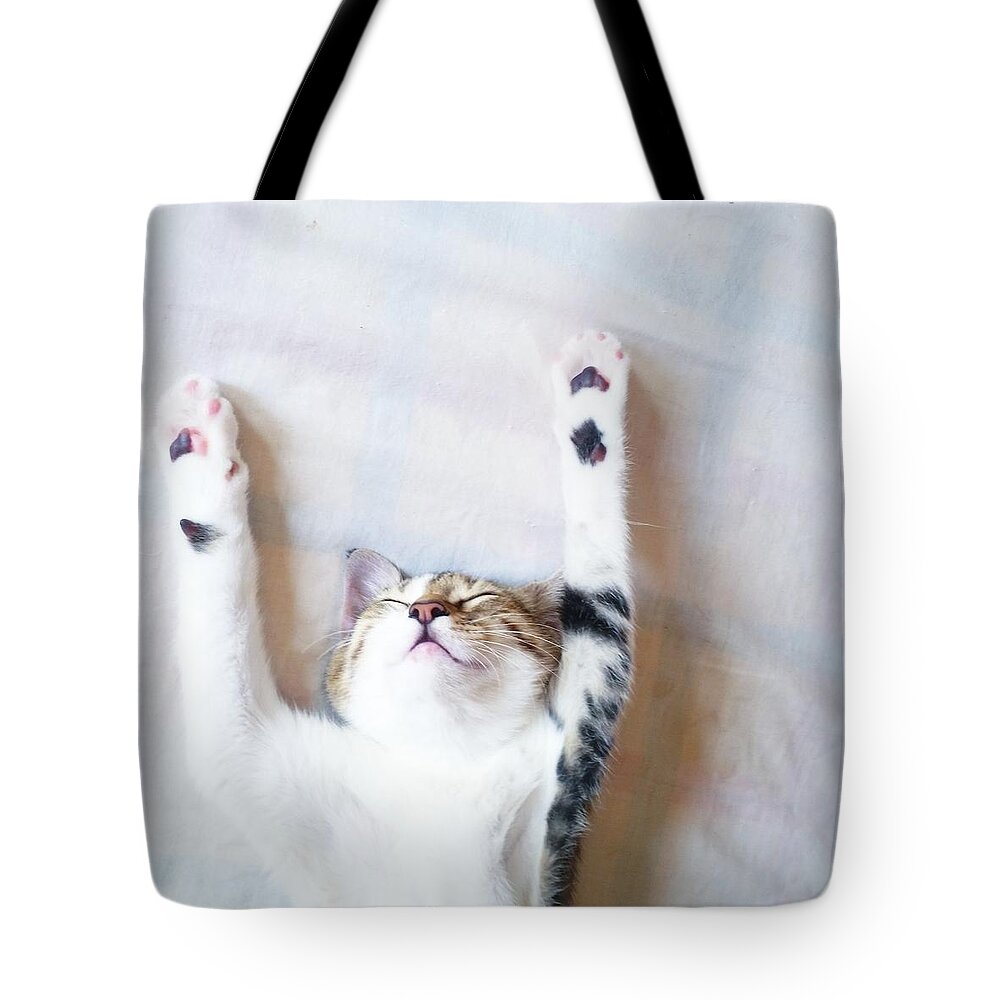 Cat Tote Bag featuring the photograph Tgif by Ezgi Turkmen