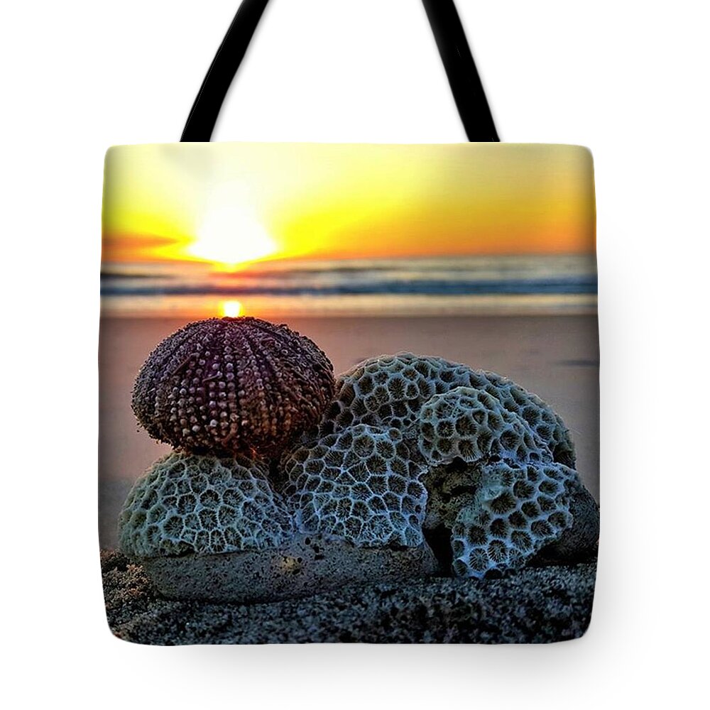 Seashell Tote Bags