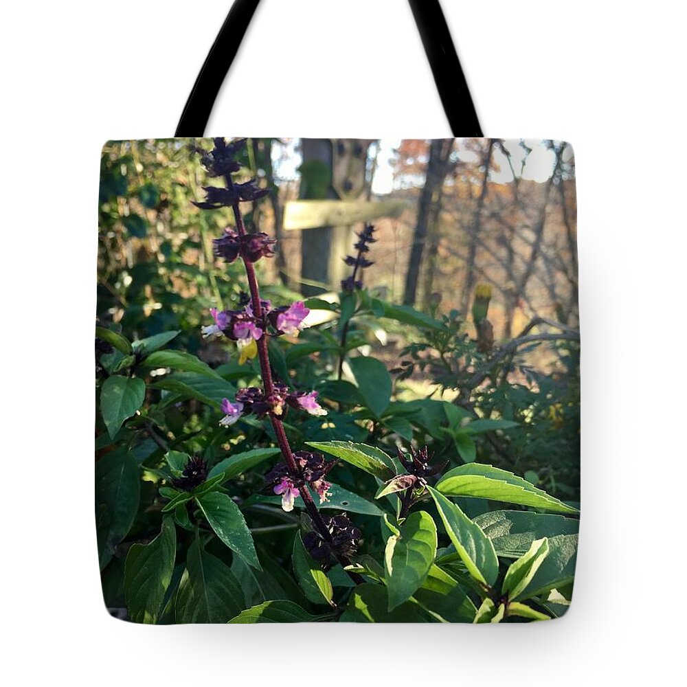Phone Cases Tote Bag featuring the photograph Thai Basil by Nancy Koehler