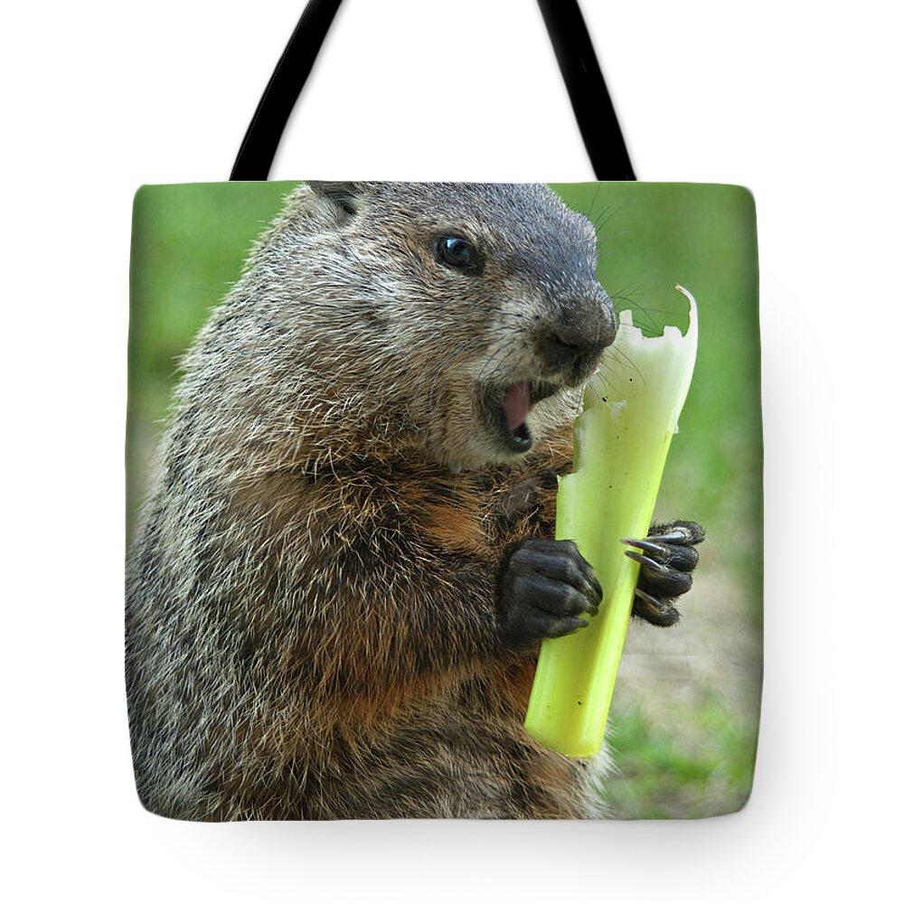 Ground Hog Eating Tote Bag featuring the photograph Thanks You for growing a garden by Paul W Faust - Impressions of Light