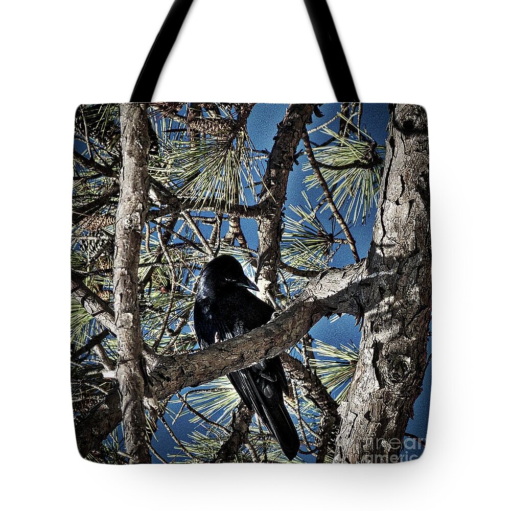 Nature Tote Bag featuring the photograph That Crow In The Backyard by Skip Willits