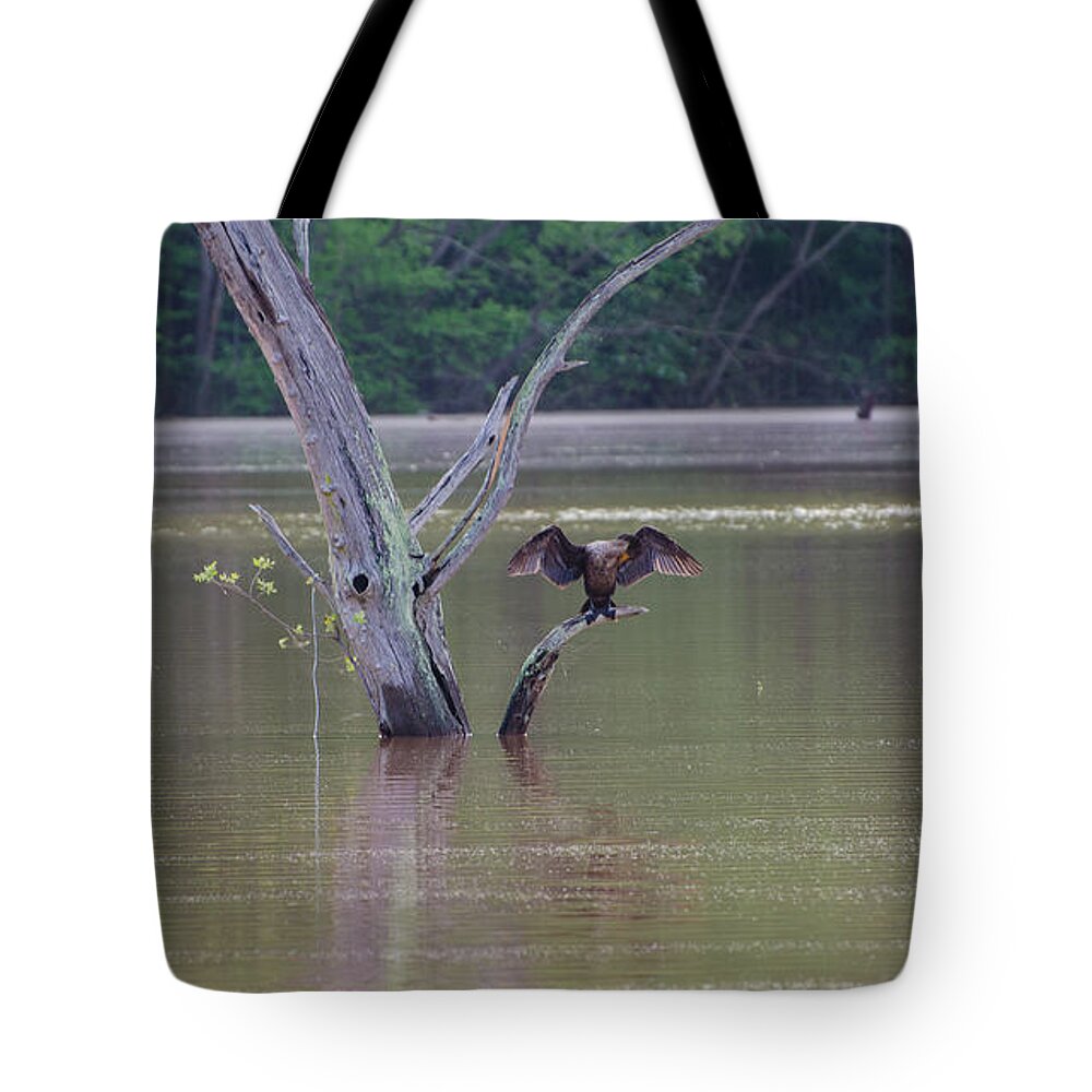 Bird Tote Bag featuring the photograph That's My Reflection by Donna Brown