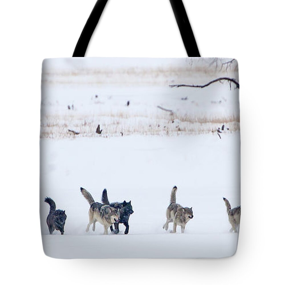 Agate Wolf Tote Bag featuring the photograph The Agates by Mark Miller