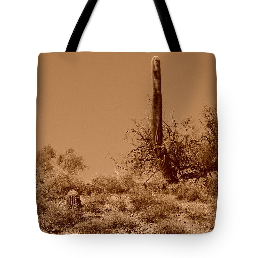 Ageless Sonoran Desert Tote Bag featuring the photograph The Ageless Sonoran Desert by Bill Tomsa