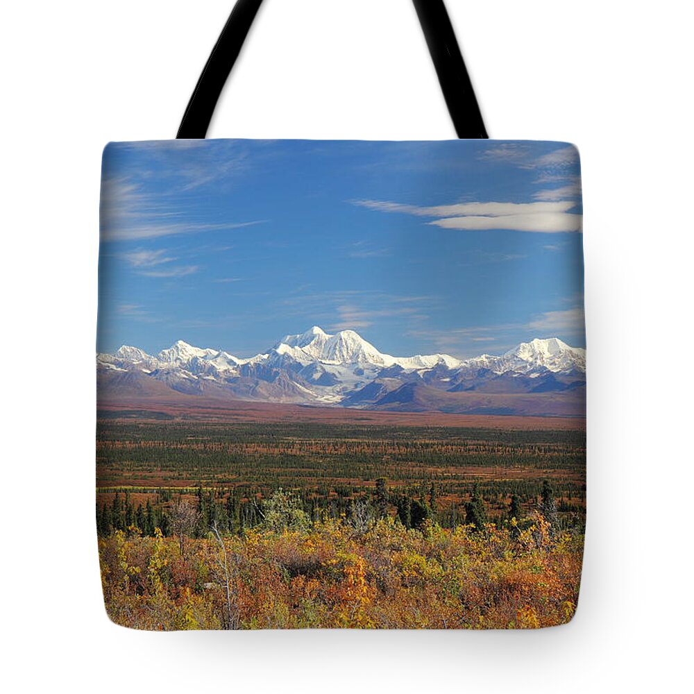Alaska Tote Bag featuring the photograph The Alaska Range From The Denali Highway by Steve Wolfe
