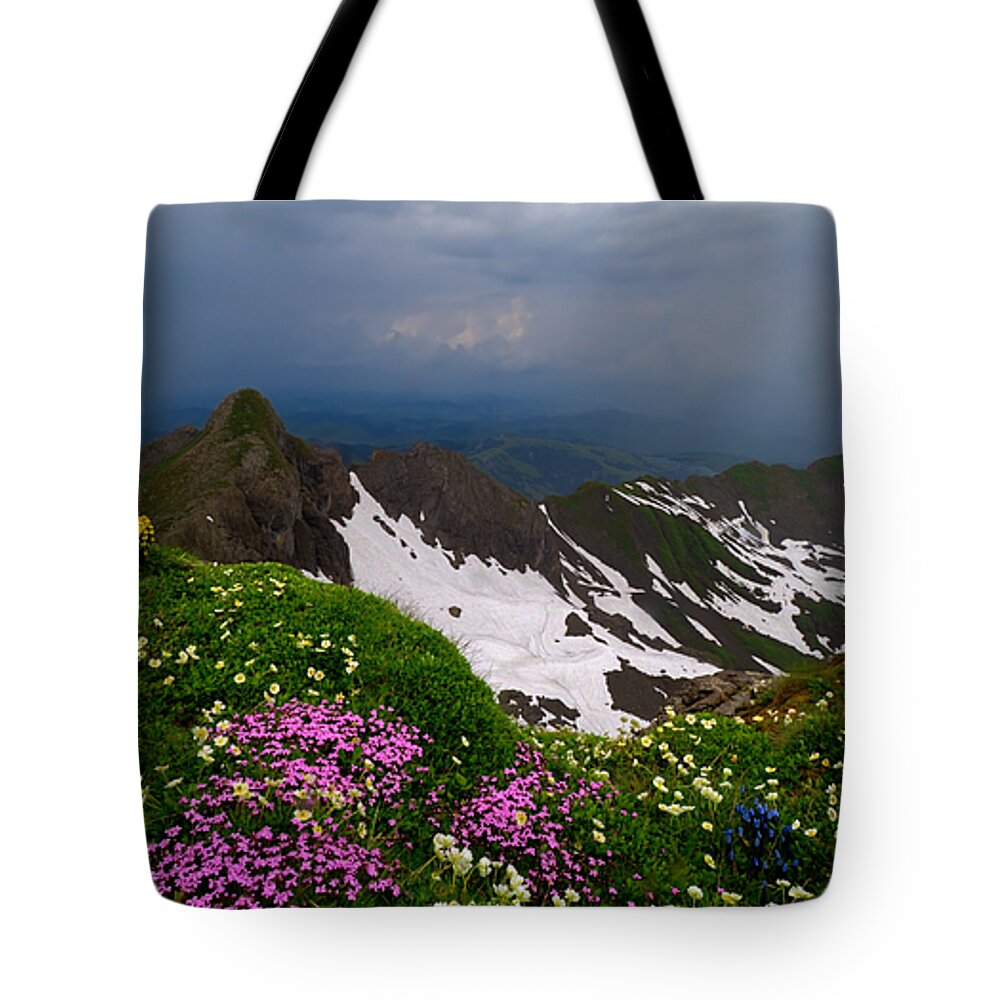 Austria Tote Bag featuring the photograph The Alps Wildflowers by Debra and Dave Vanderlaan