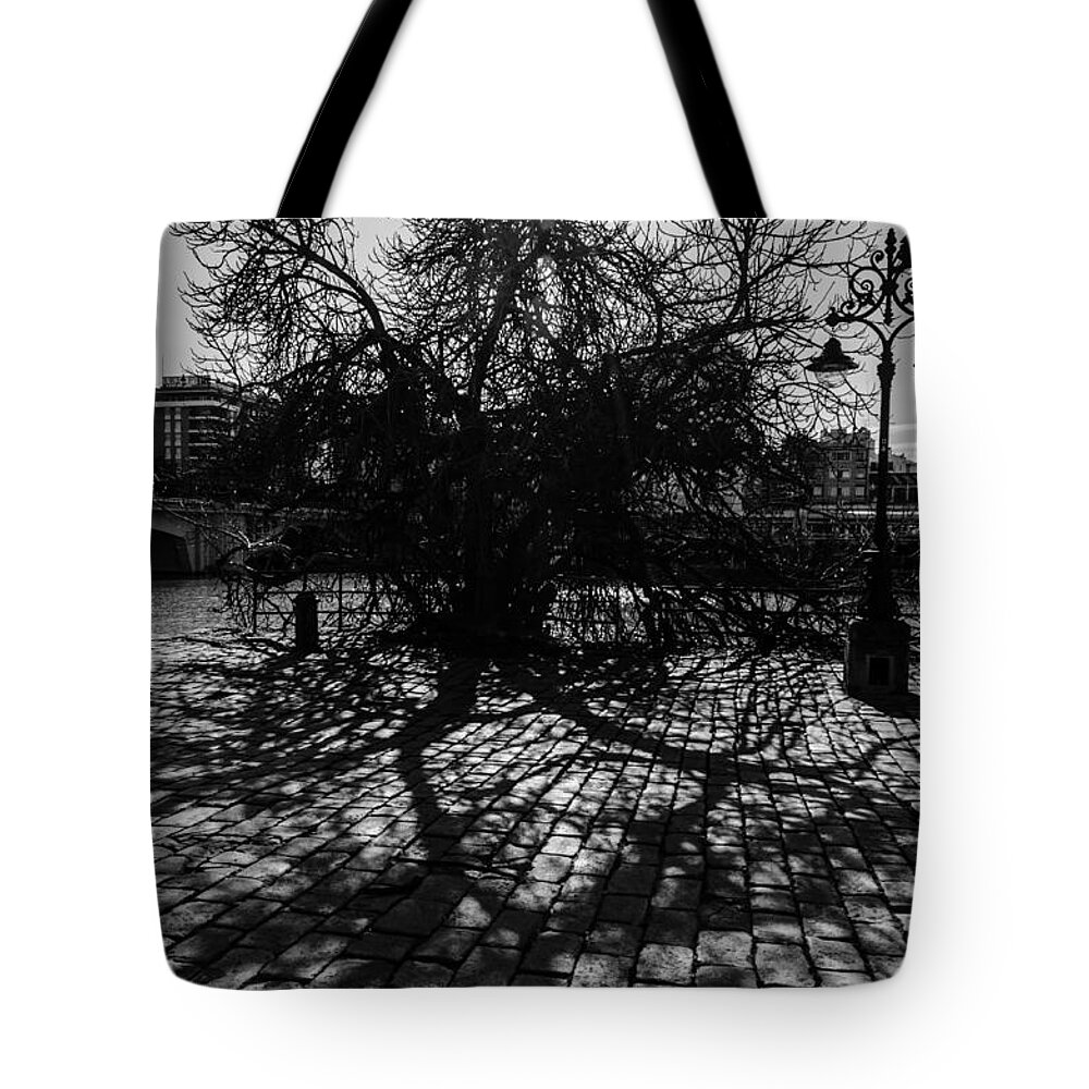 Monochrome Tote Bag featuring the photograph The ancient tree and its shadow by AM FineArtPrints