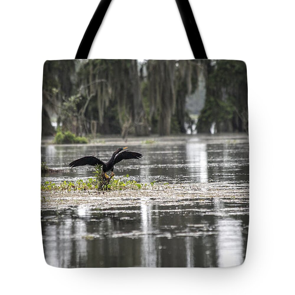Louisiana Tote Bag featuring the photograph The Announcer by Betsy Knapp