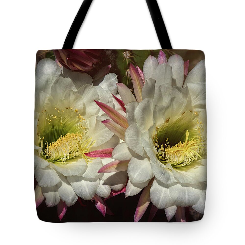Argentine Giant Tote Bag featuring the photograph The Argentinian by Saija Lehtonen