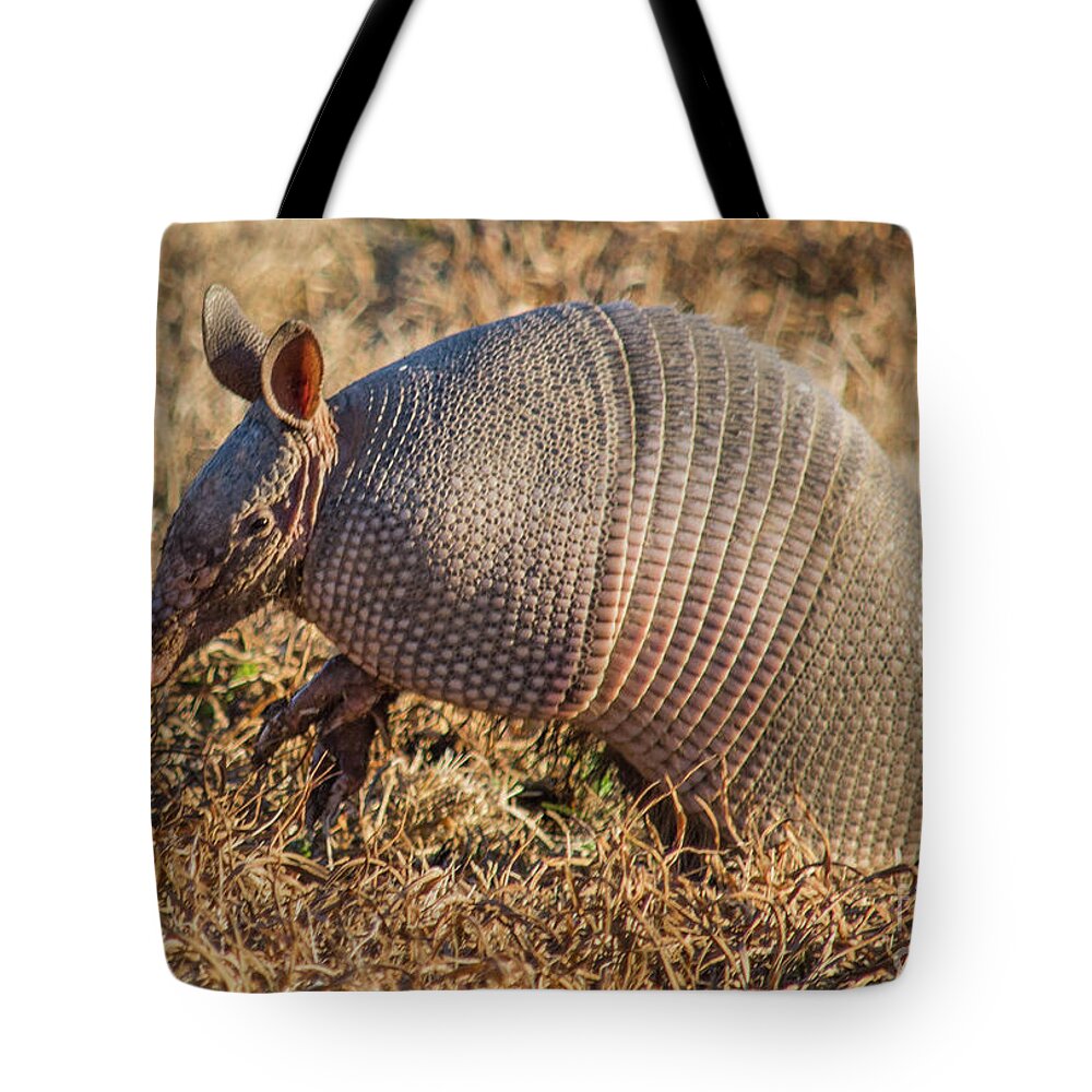 Nature Tote Bag featuring the photograph The Nine Banded Armadillo by Barry Bohn