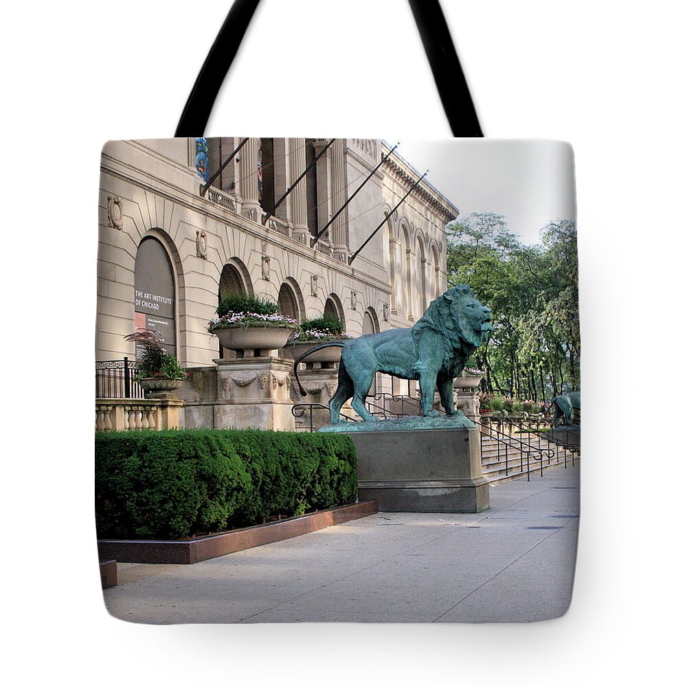 The Art Institute Of Chicago Tote Bag featuring the photograph The Art Institute Of Chicago - 3 by Ely Arsha