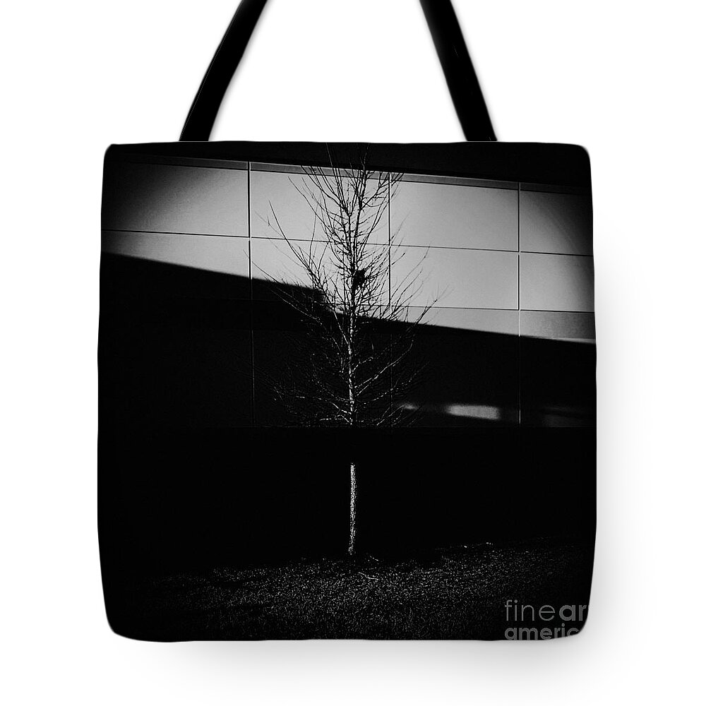 Frank J Casella Tote Bag featuring the photograph The Art of Light - Monochrome by Frank J Casella