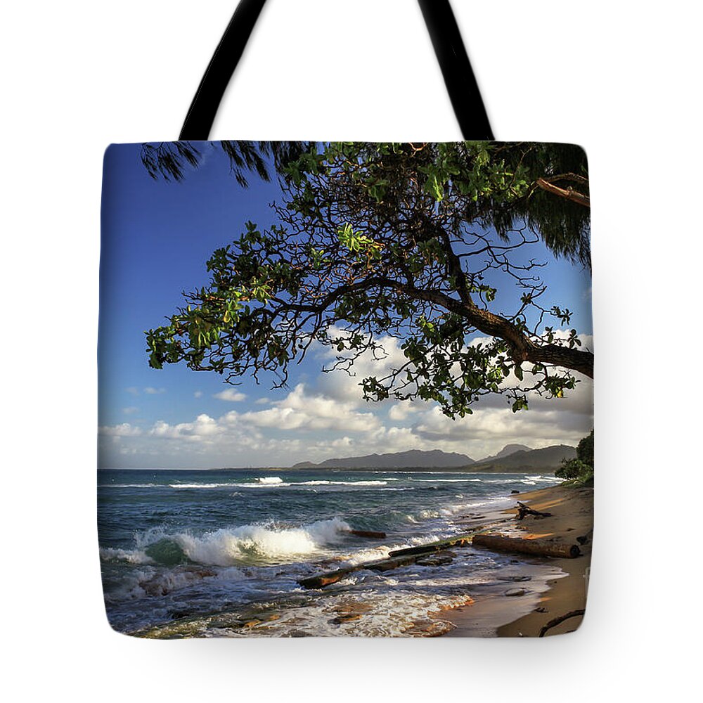 Beach Tote Bag featuring the photograph The Beach At Kapaa by James Eddy