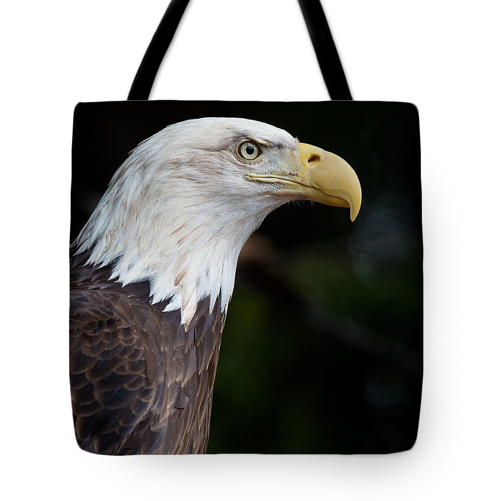 Bald Eagle Tote Bag featuring the photograph The Beak Pointeth by Greg Nyquist