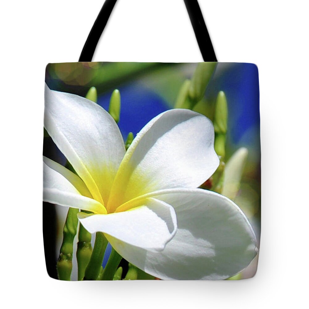 Flower Tote Bag featuring the photograph The Beautiful Plumeria by Elaine Manley