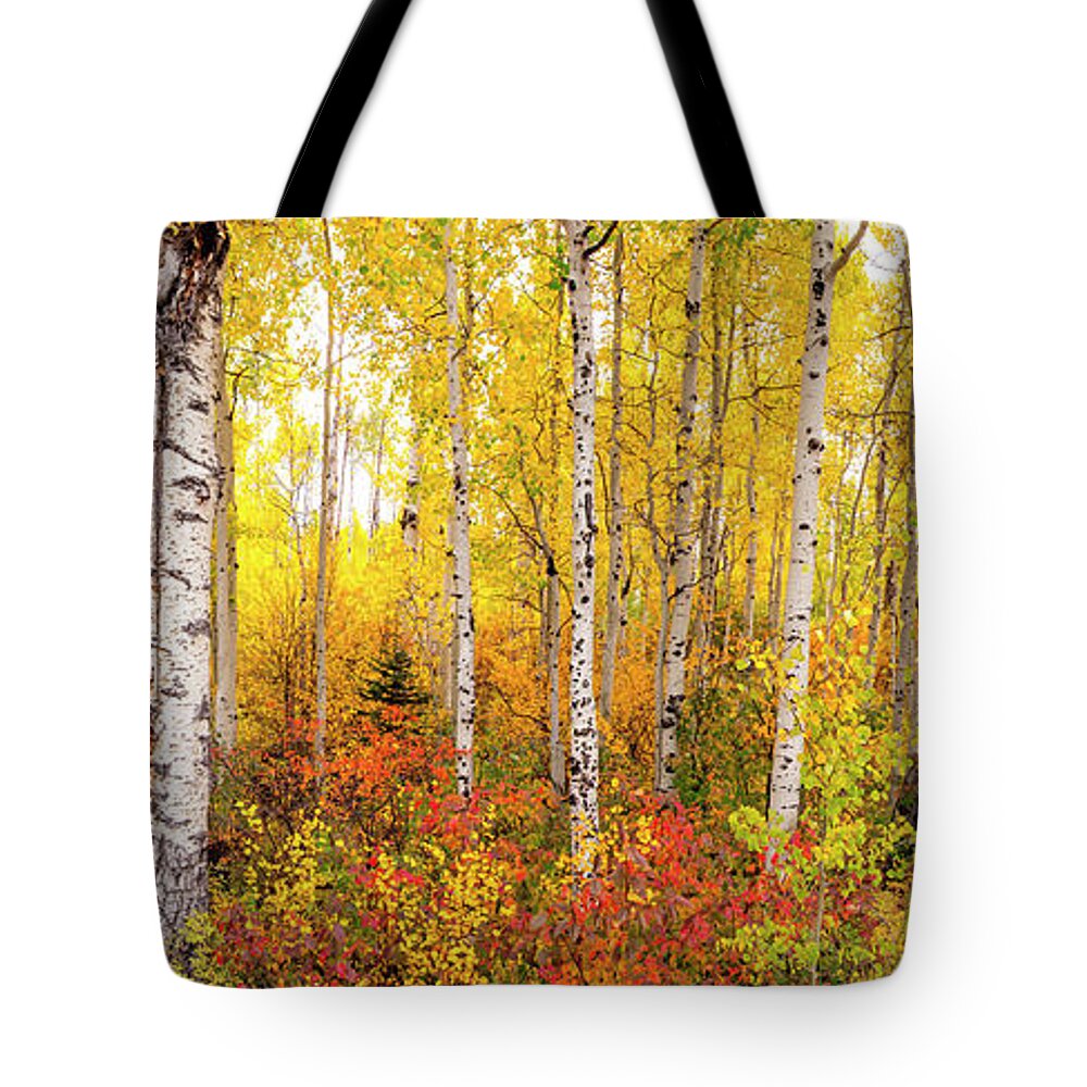 Fall Tote Bag featuring the photograph The Beauty of the Autumn Forest by Tim Reaves