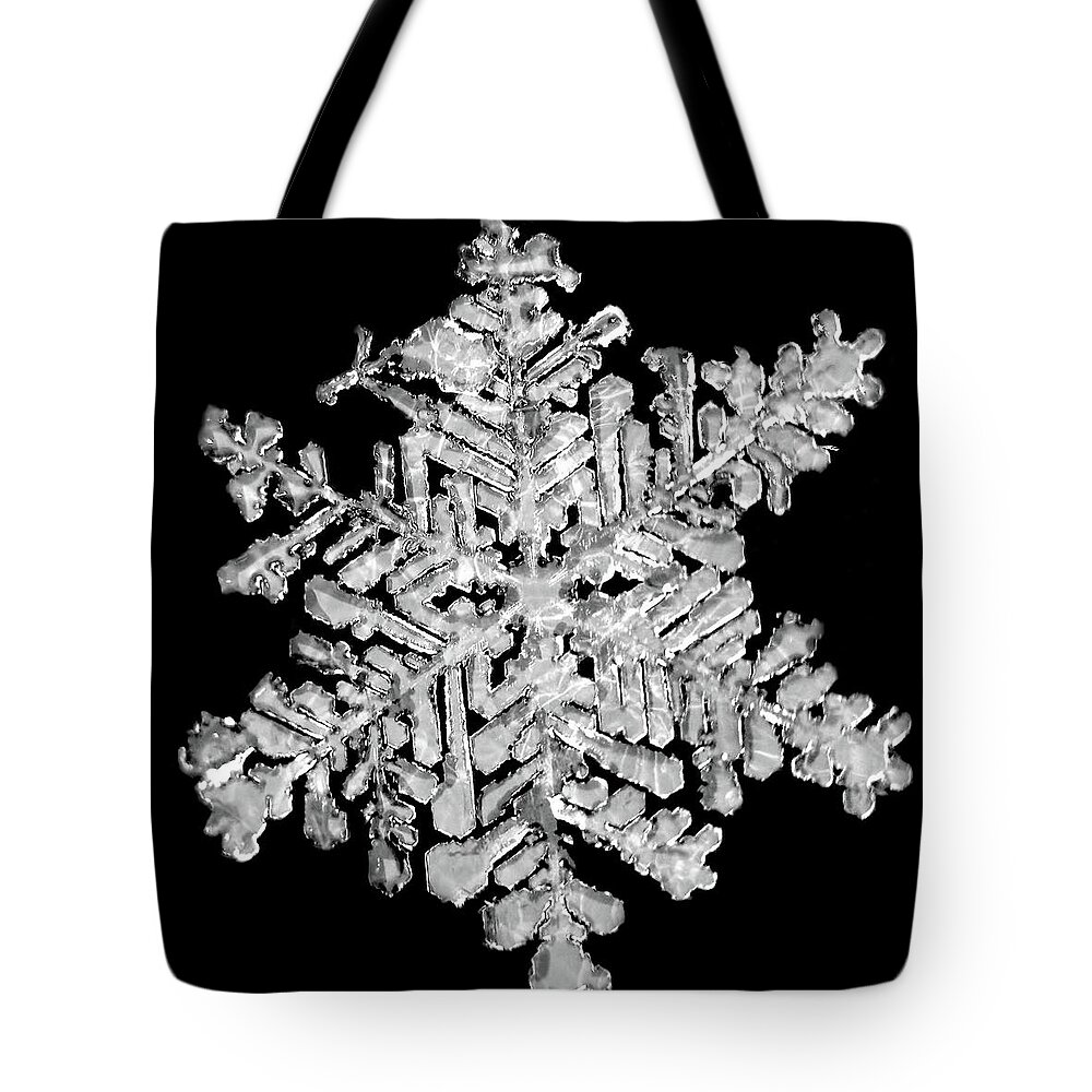Lauren Radke Tote Bag featuring the photograph The Beauty of Winter by Lauren Radke