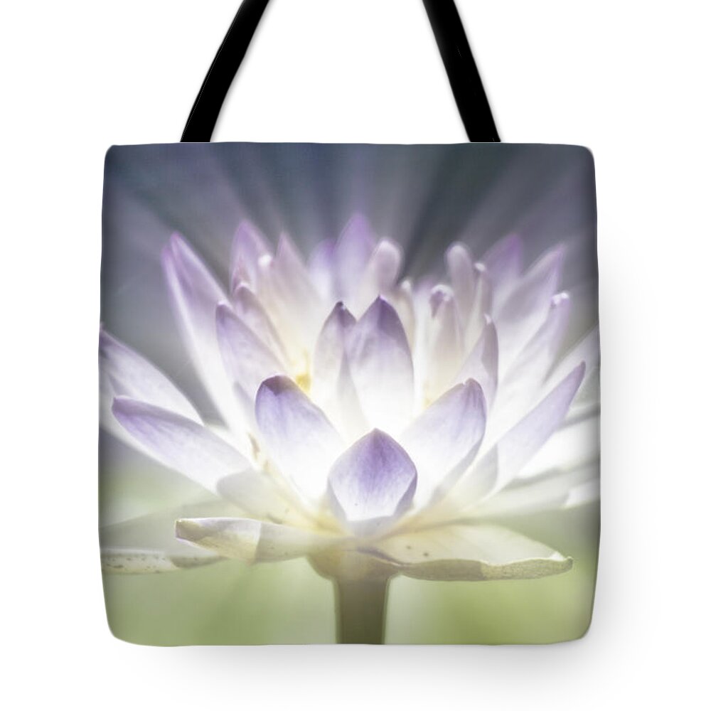 Lotus Flower Tote Bag featuring the photograph The Beauty Within by Douglas Barnard