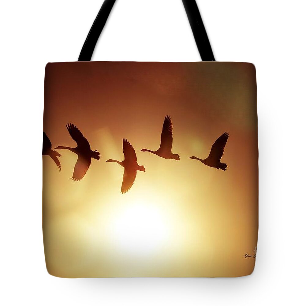 Sunset Tote Bag featuring the photograph The before the Sundwon by Yumi Johnson