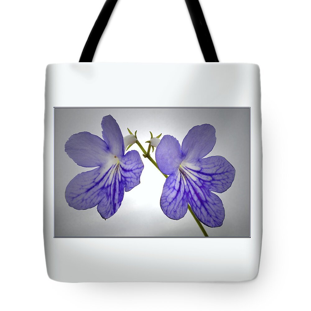 Streptocarpus Flowers Tote Bag featuring the photograph The Betham Twins. by Terence Davis