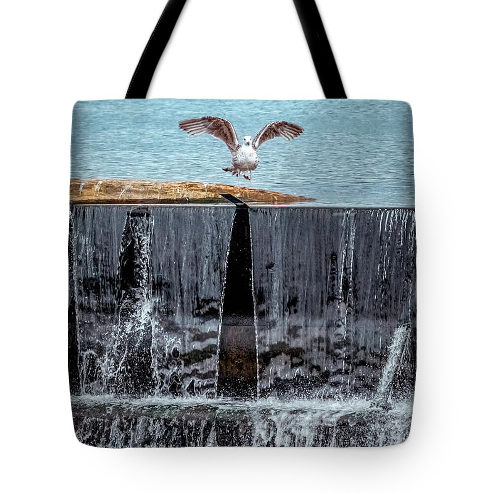The Bird Tote Bag featuring the photograph The bird over waterfall by Lilia S