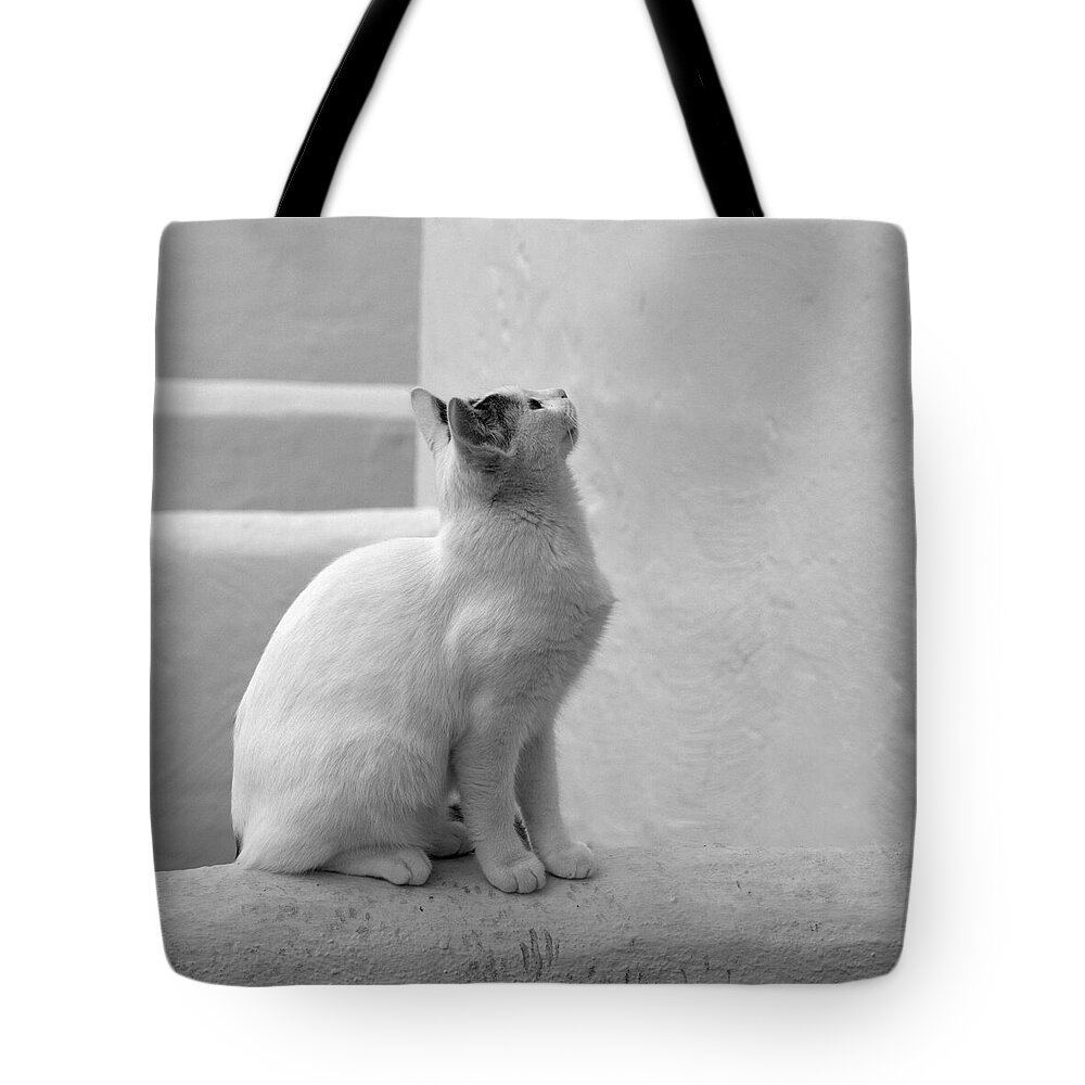 Landscape Tote Bag featuring the photograph The Blond 4 by Jouko Lehto