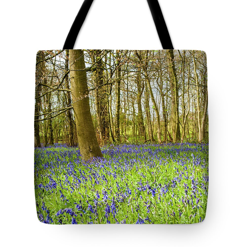 Bluebell Tote Bag featuring the photograph The Bluebell wood in spring. by John Paul Cullen