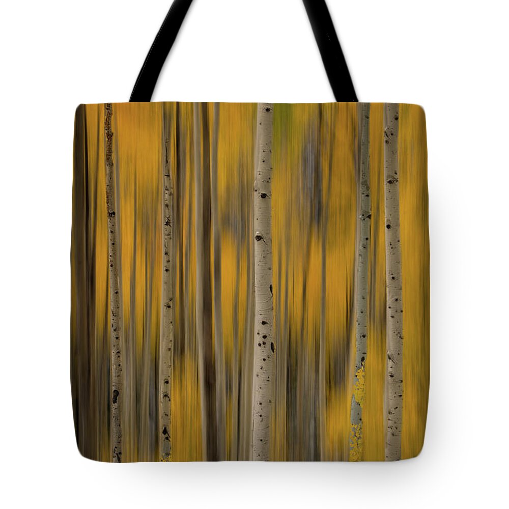 Aspen Tote Bag featuring the photograph The Blur of Fall by Chuck Rasco Photography