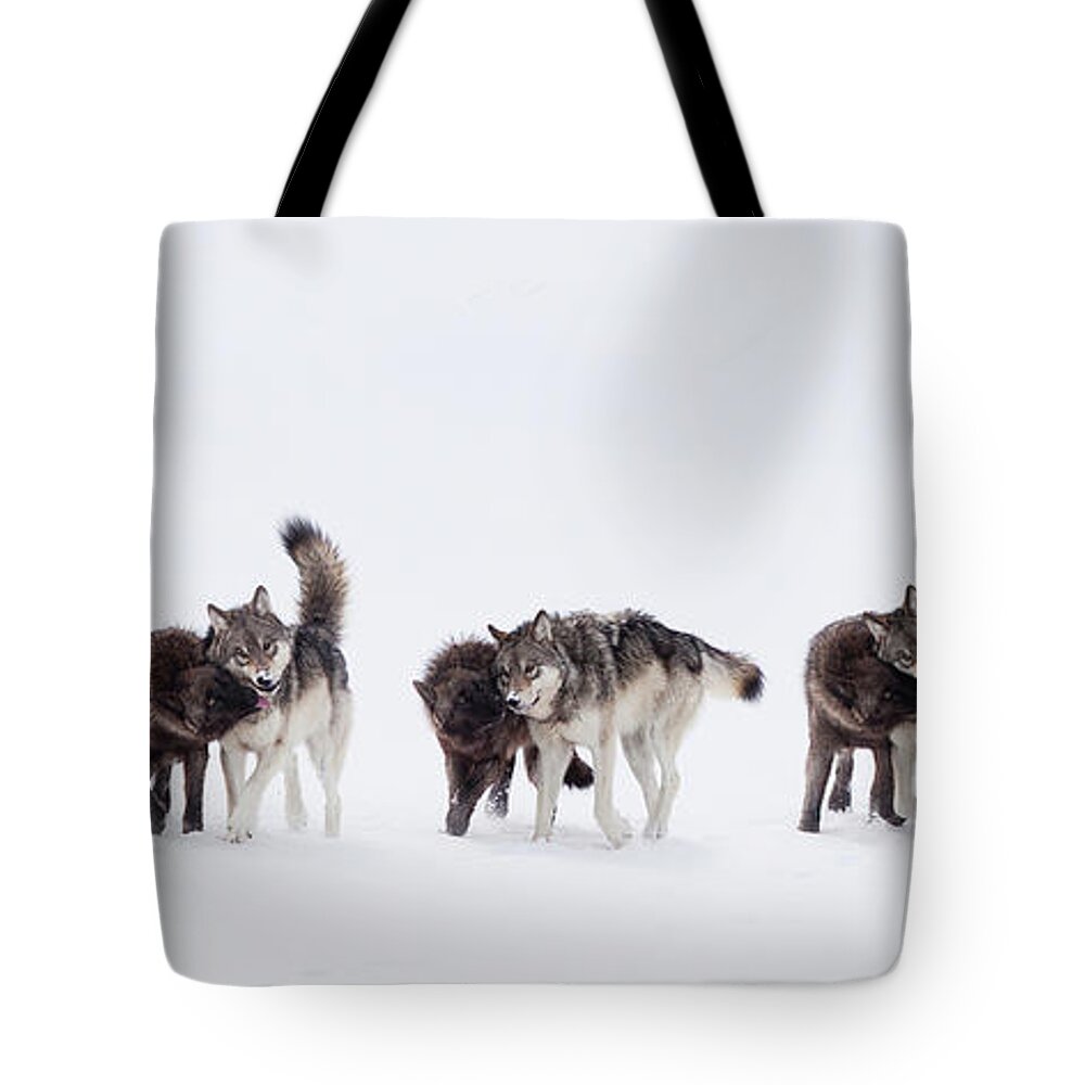 Travel Tote Bag featuring the photograph The Bond by Eilish Palmer