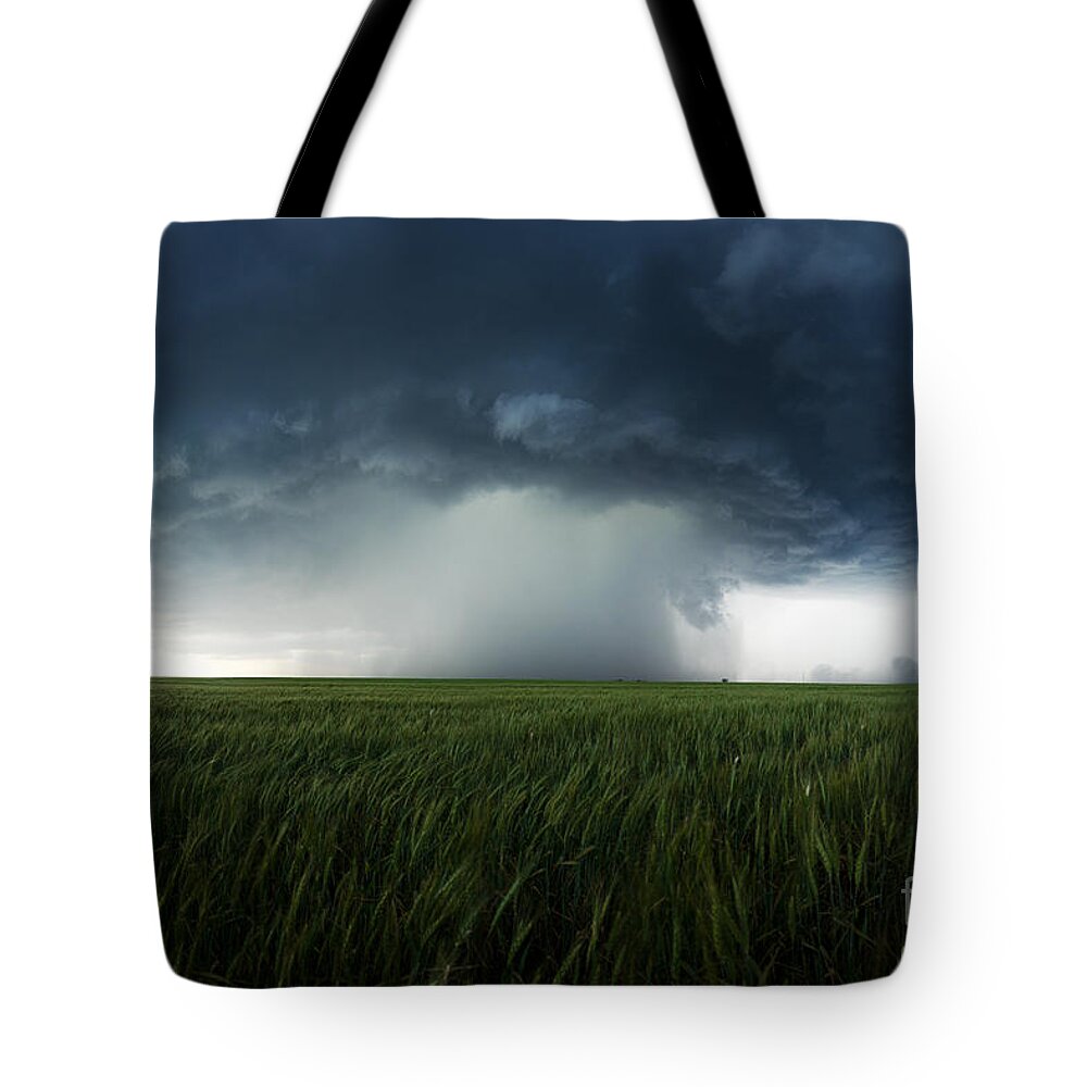 Supercell Tote Bag featuring the photograph The Breath Before The Plunge by Ryan Smith