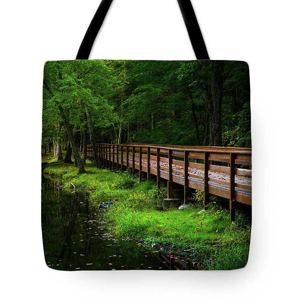 The Bridge At Wolfe Park Tote Bag featuring the photograph The Bridge at Wolfe Park by Karol Livote