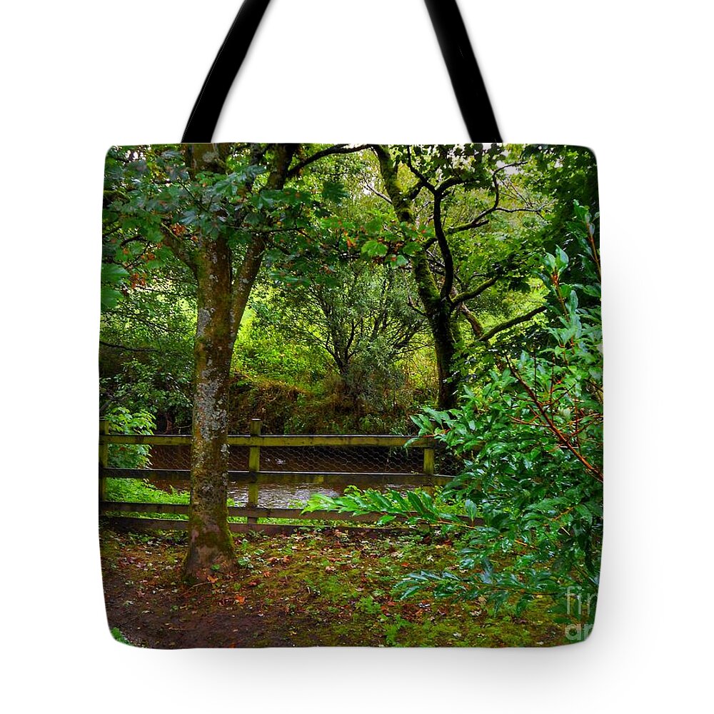 Gibbon's Bridge Tote Bag featuring the photograph The Brook at Gibbon's Bridge by Joan-Violet Stretch