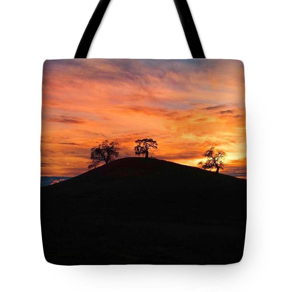 Trees Tote Bag featuring the photograph The Brothers by Janet Kopper