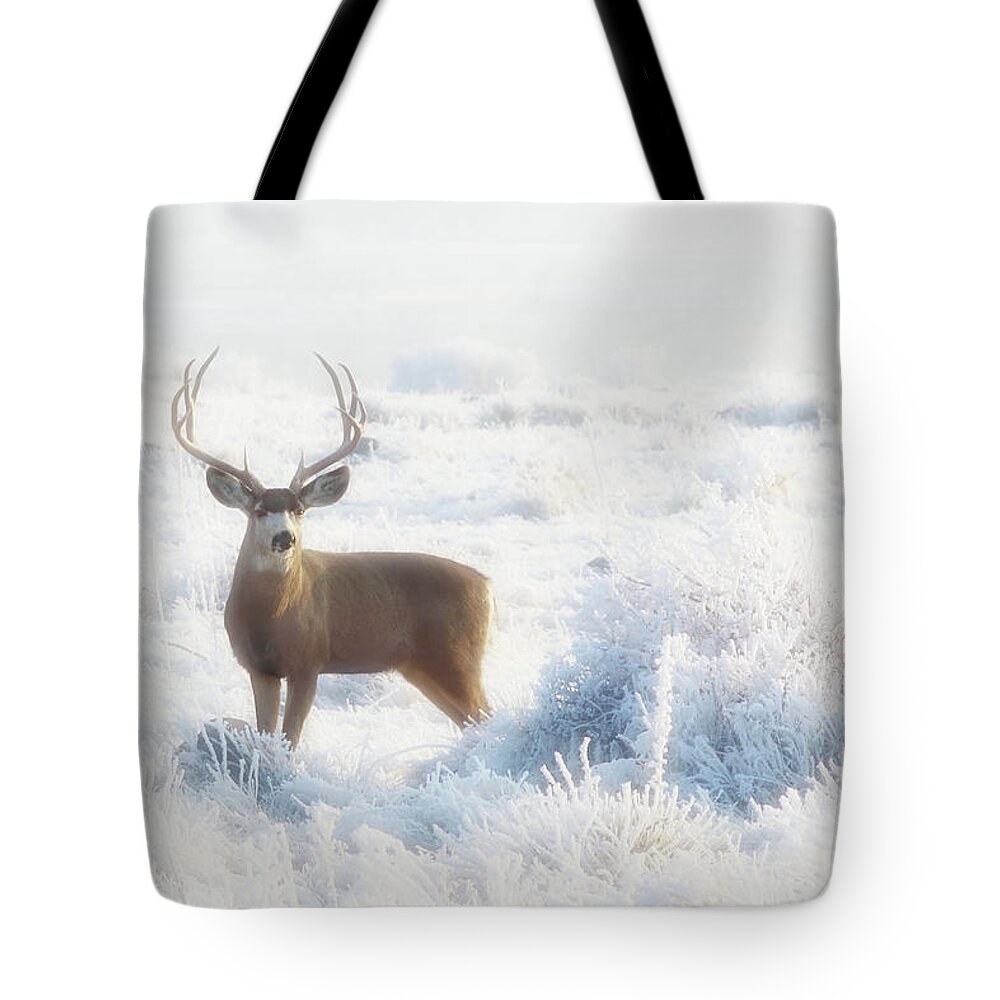 Deer Tote Bag featuring the photograph The Buck Stops Here by Brian Gustafson