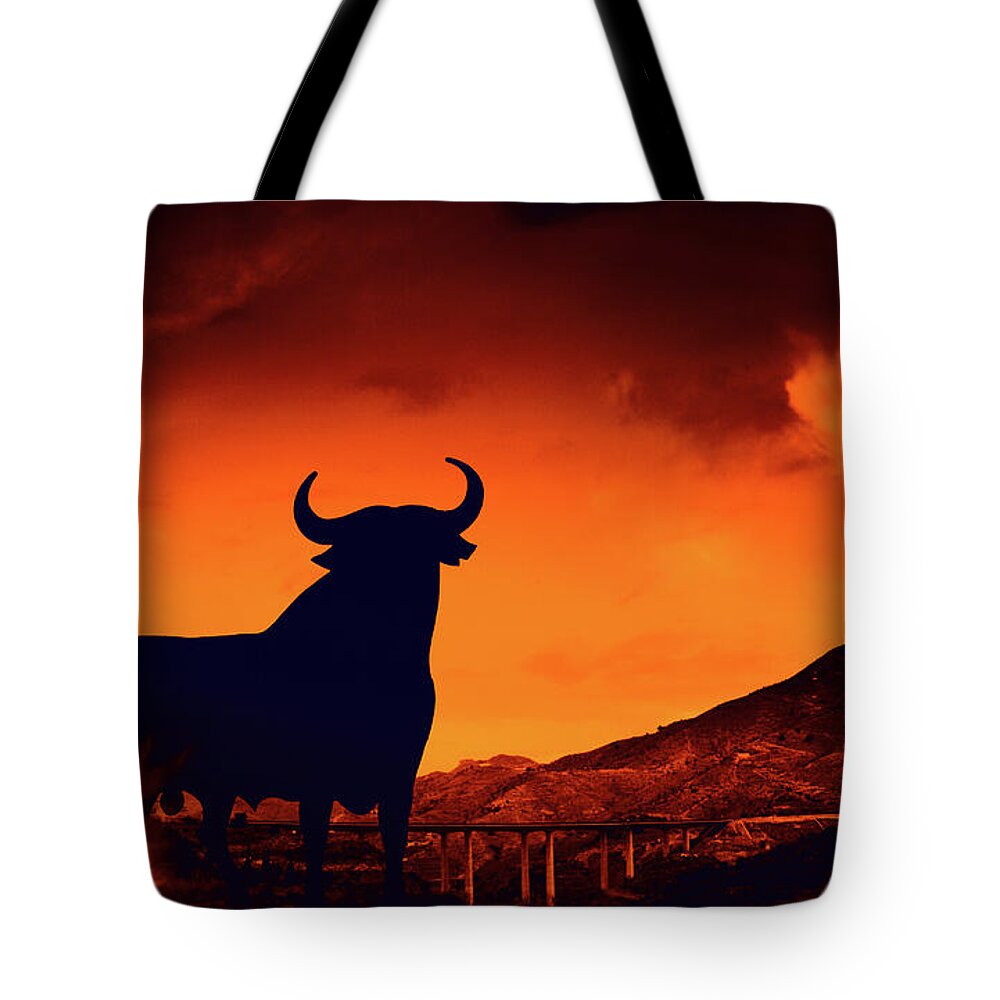 Spain Tote Bag featuring the photograph Spanish by Tatiana Travelways