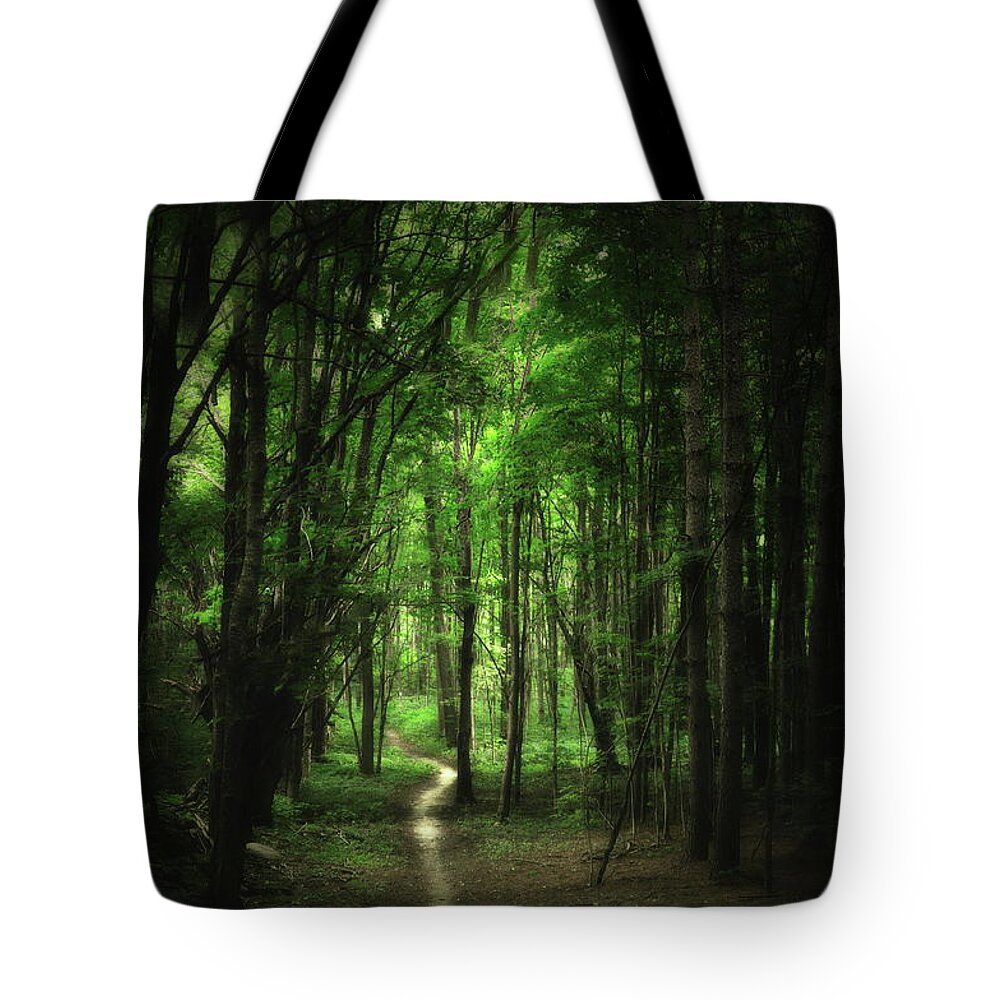 Forest Tote Bag featuring the photograph The Cathedral Arch by Andrea Kollo