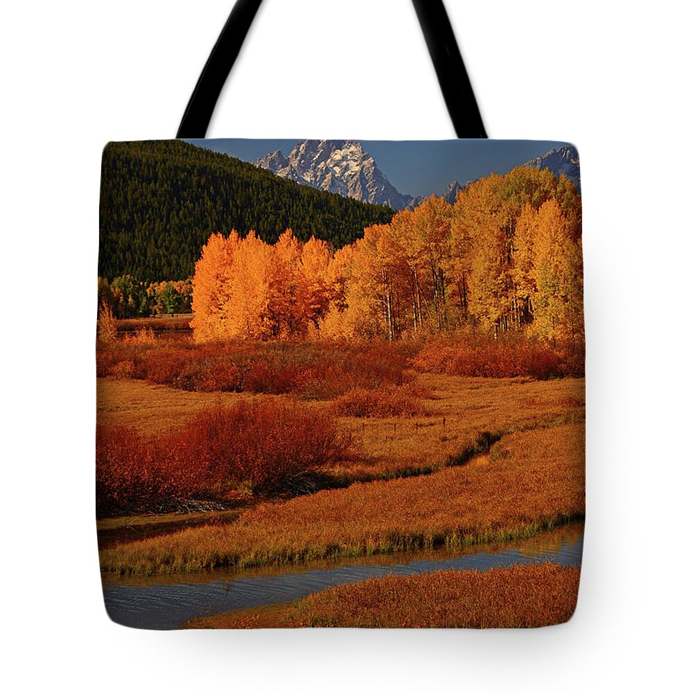 The Cathedral Group From North Of Oxbow Bend Tote Bag featuring the photograph The Cathedral Group from North of Oxbow Bend by Raymond Salani III