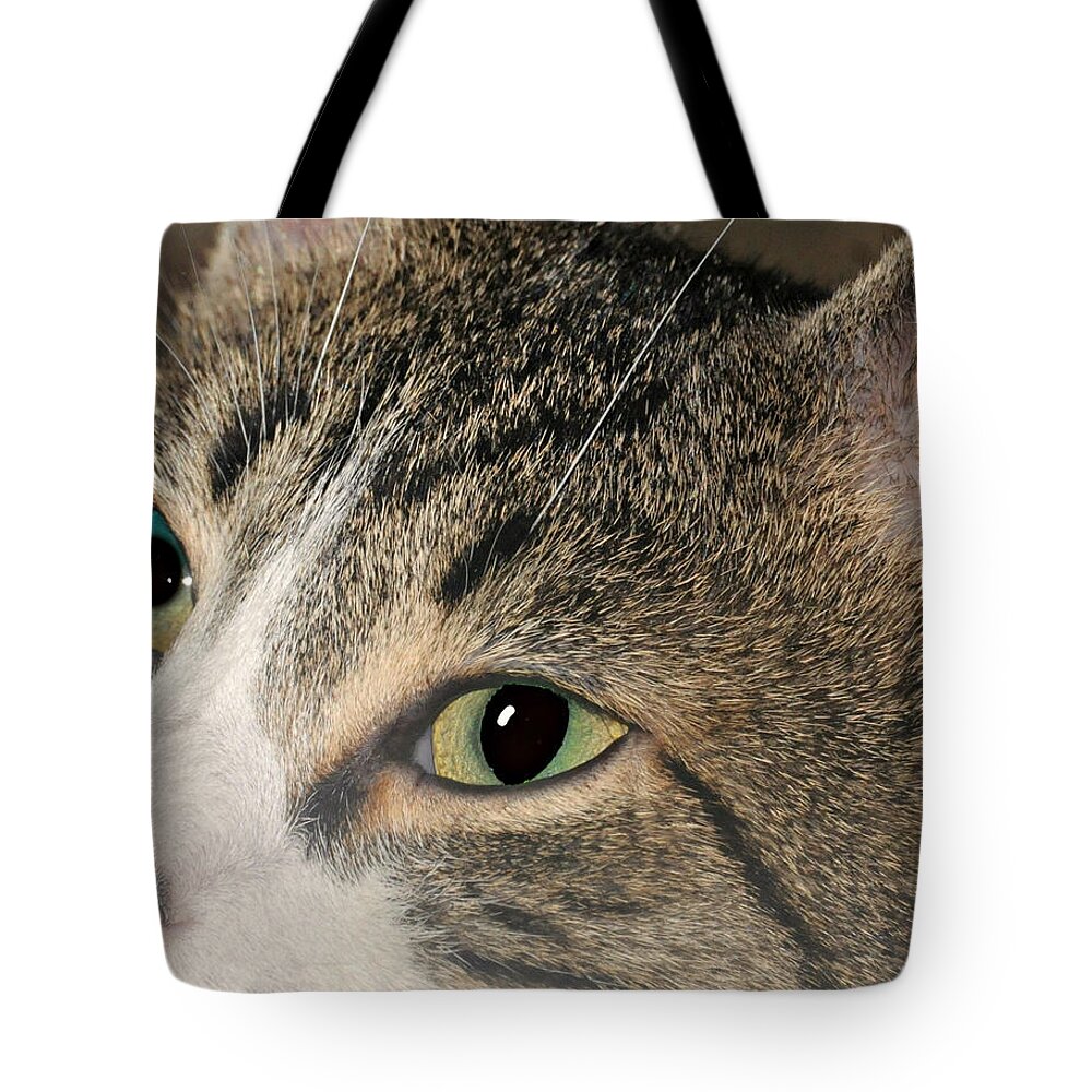 Animal Tote Bag featuring the photograph The Cat's Meow by Diana Angstadt