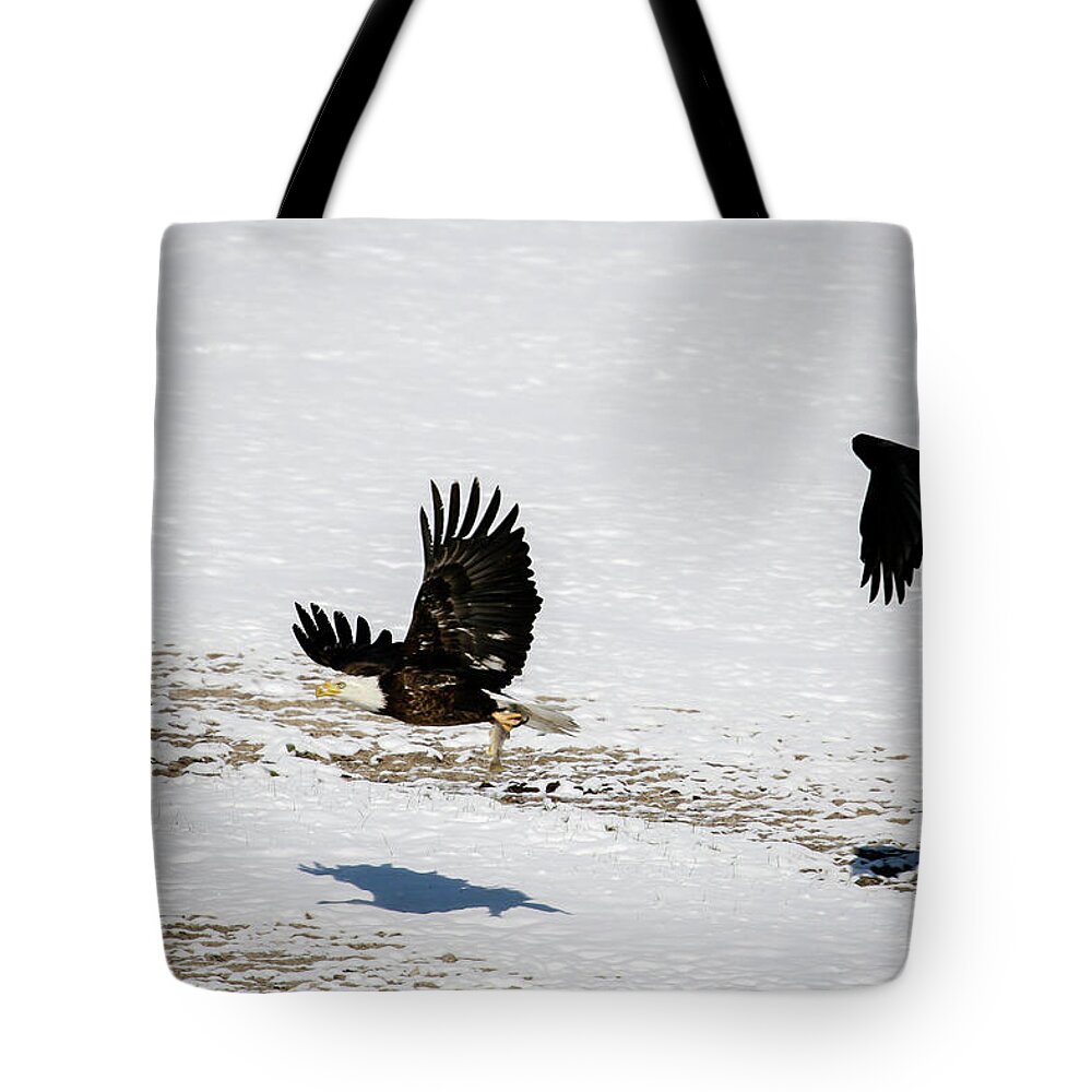 Raven Tote Bag featuring the photograph The Chase is On by Gary Hall
