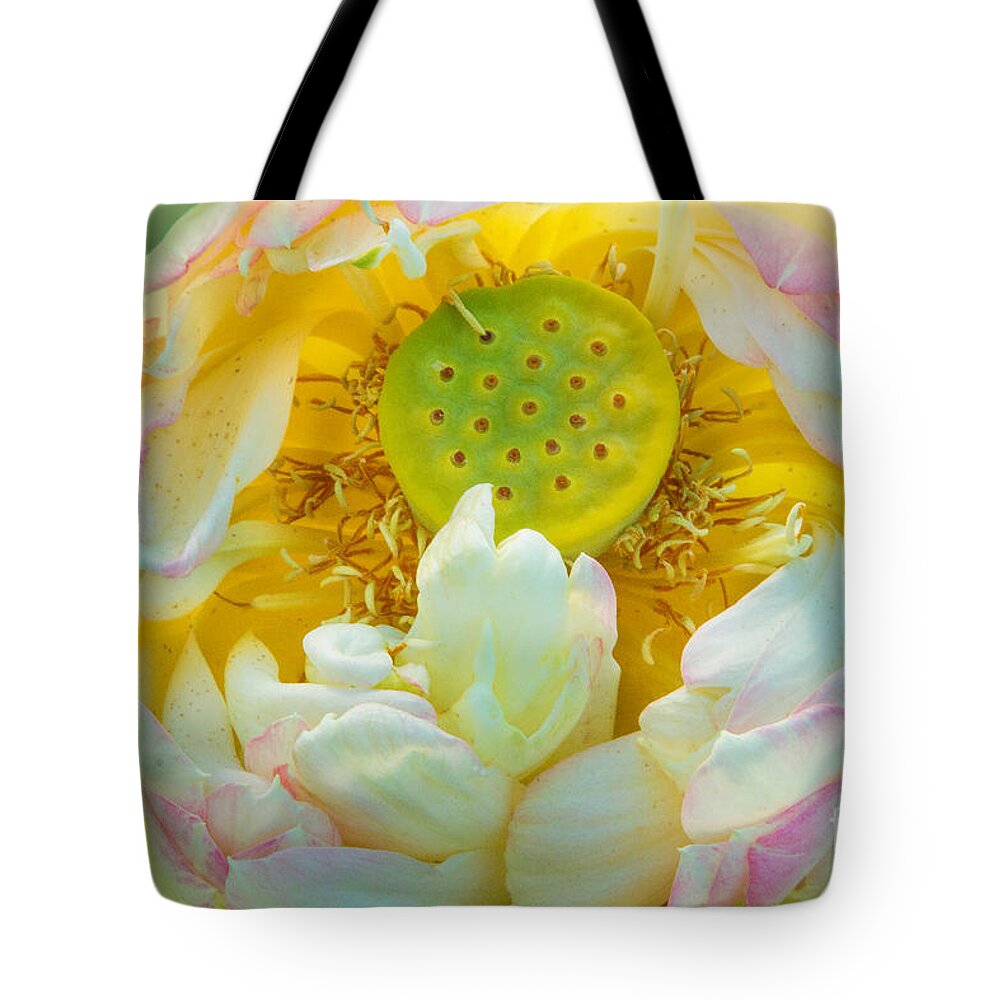 Lotus Tote Bag featuring the photograph The Choosing by Marilyn Cornwell