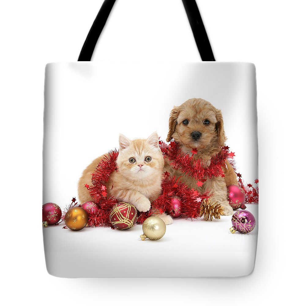 Golden Cockapoo Tote Bag featuring the photograph The Christmas tree Destroyers by Warren Photographic