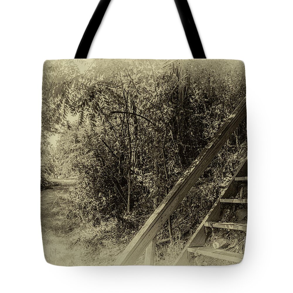 Climb Tote Bag featuring the photograph The Climb by William Norton