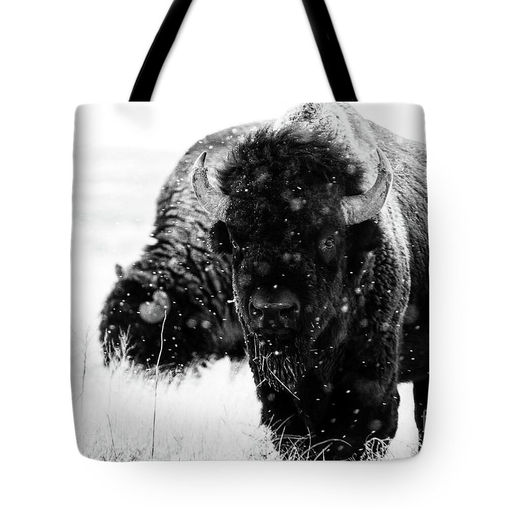 Buffalo Tote Bag featuring the photograph The Cold Brotherhood by Jim Garrison