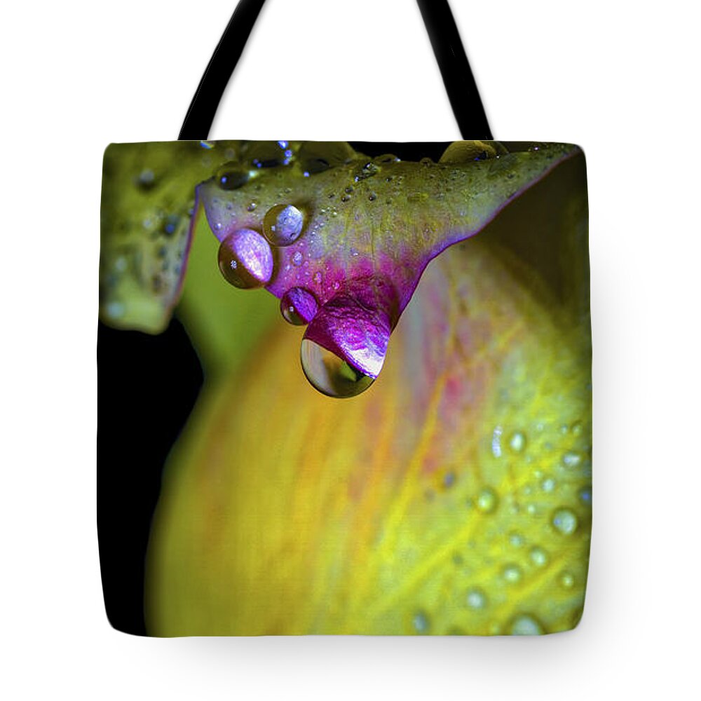 The Color Of Rain. Tote Bag featuring the photograph The Color Of Rain by Mitch Shindelbower