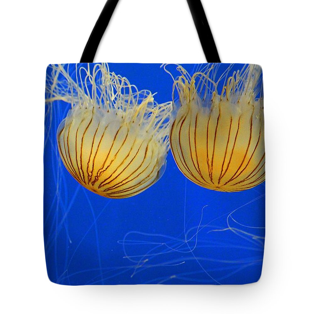 Jellyfish Tote Bag featuring the photograph The Color of the Season by Michiale Schneider