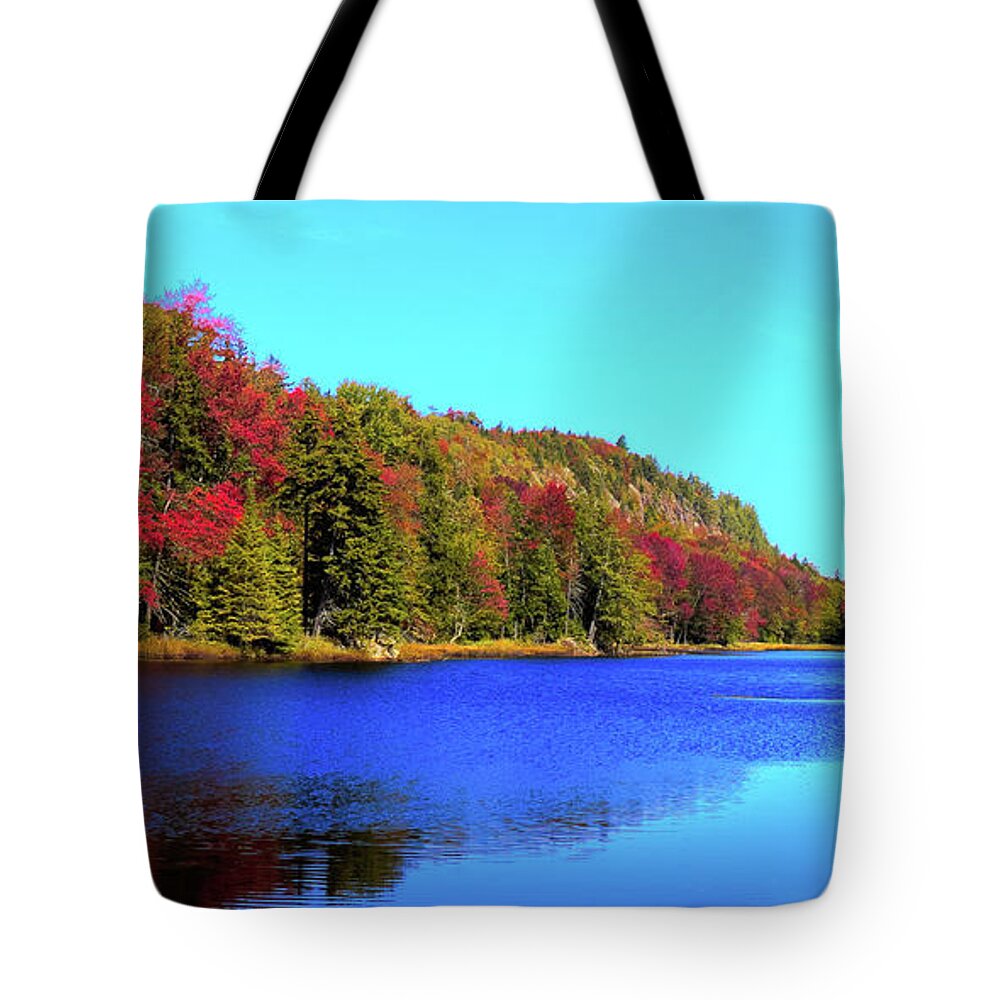 The Colors Of Fall Tote Bag featuring the photograph The Colors of Fall by David Patterson