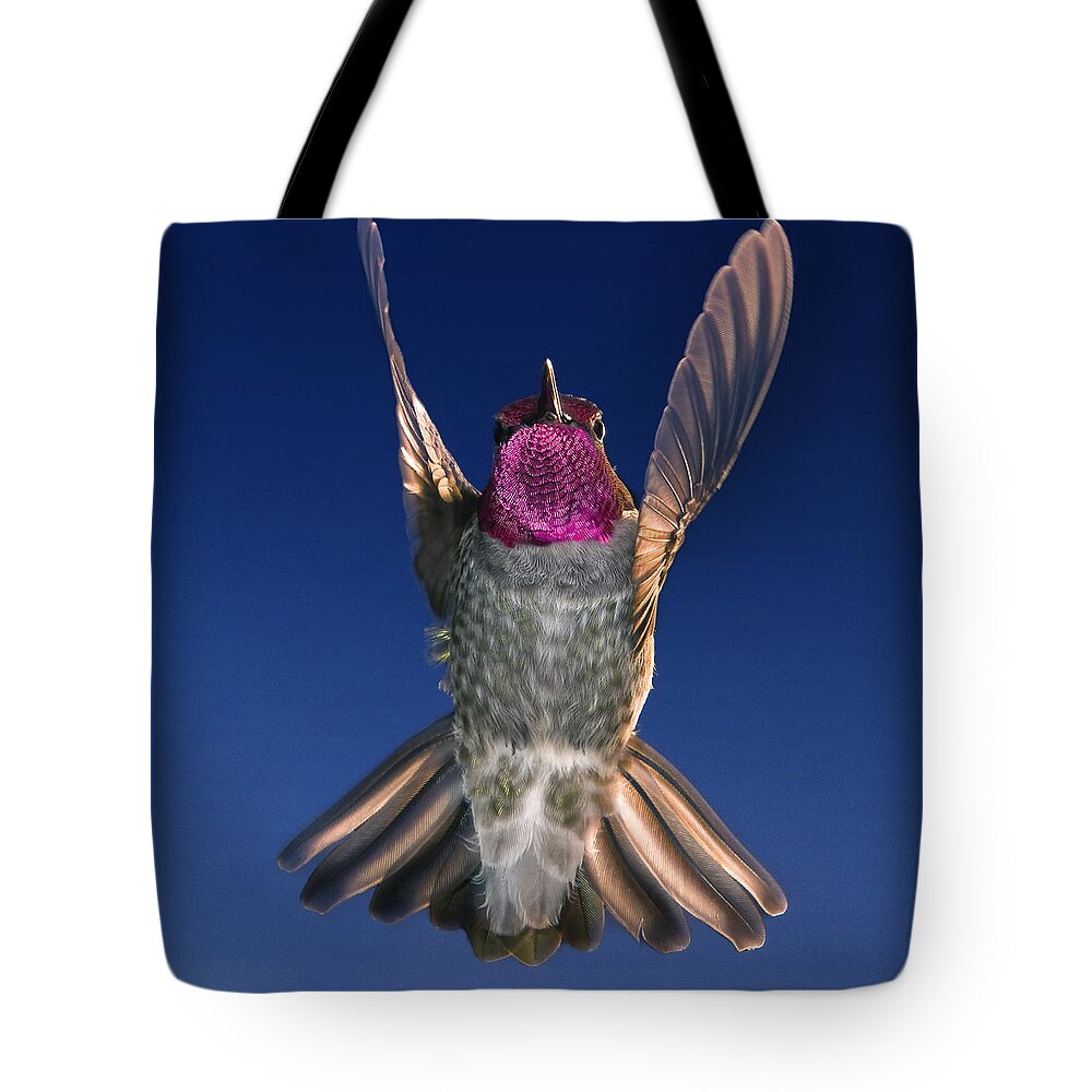 Hummingbird Tote Bag featuring the photograph The Conductor of Hummer Air Orchestra by William Lee