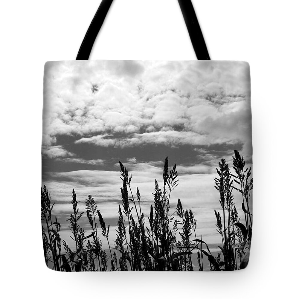 Corn Tote Bag featuring the photograph The Corn is High by Robert Wilder Jr